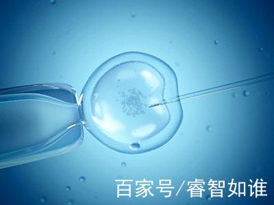 关于瑞柏国际医院