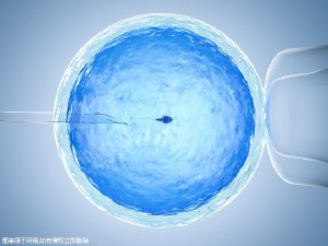 显微操作